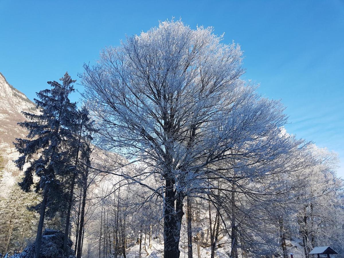 Hisa Erlah Otel Bohinj Dış mekan fotoğraf